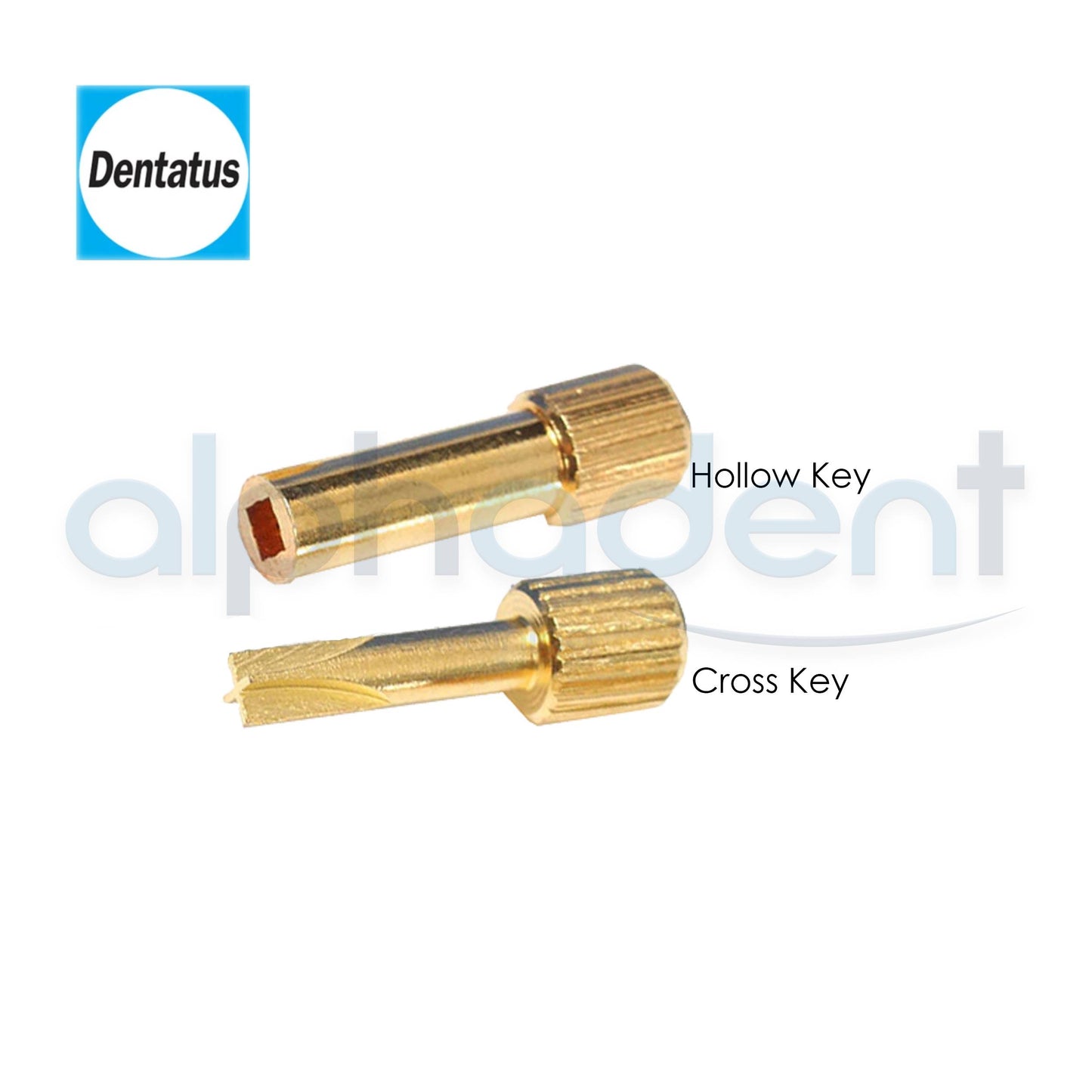 Surtex® Classic Titanium Posts