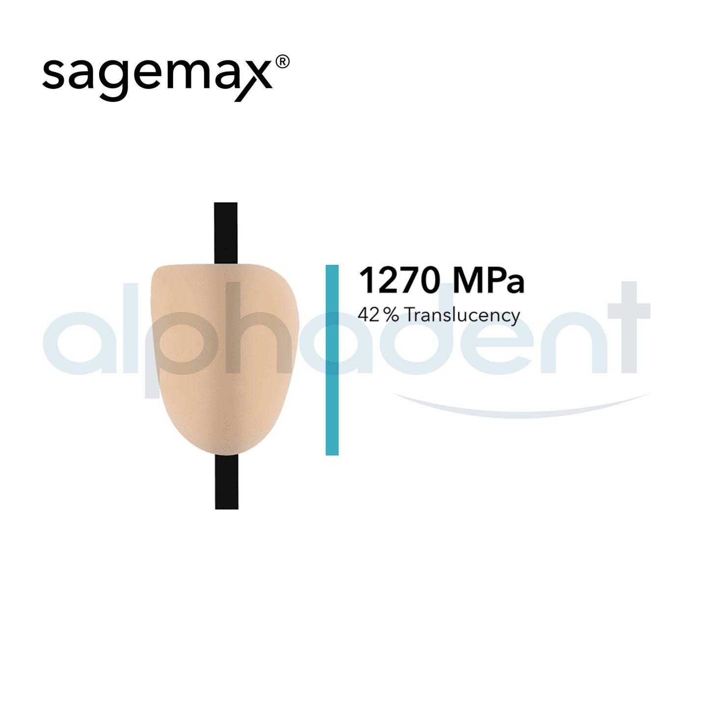 Sagemax Zirconia Disc Translucent (Nexxzr T)