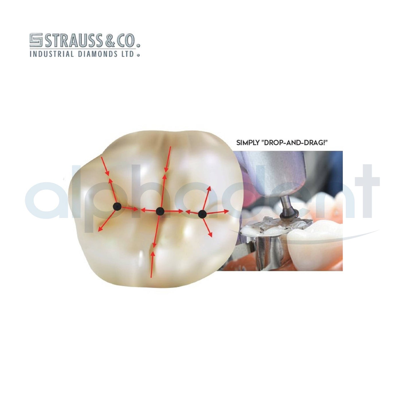Occlusinator® Sculpting Diamond Burs