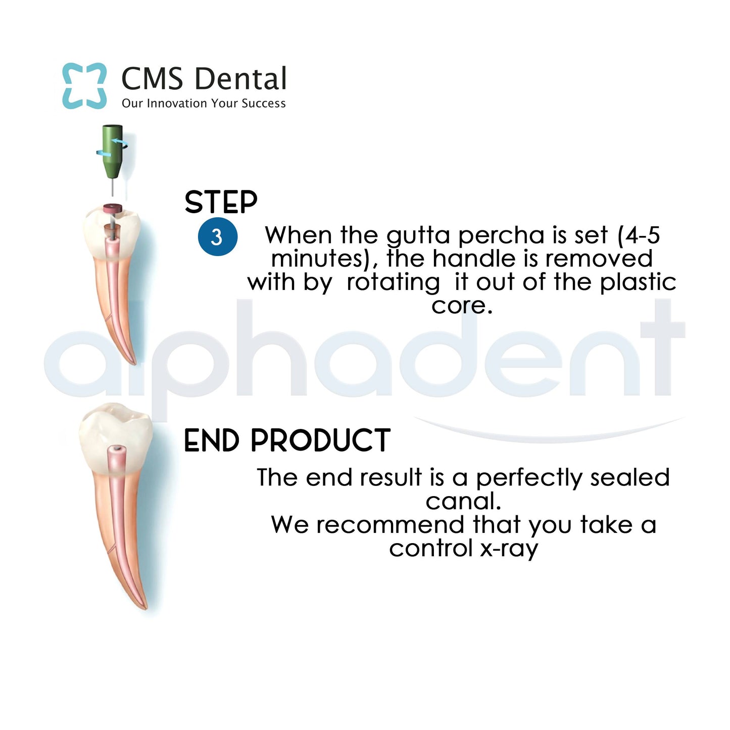 Soft-Core® Endodontic Obturator