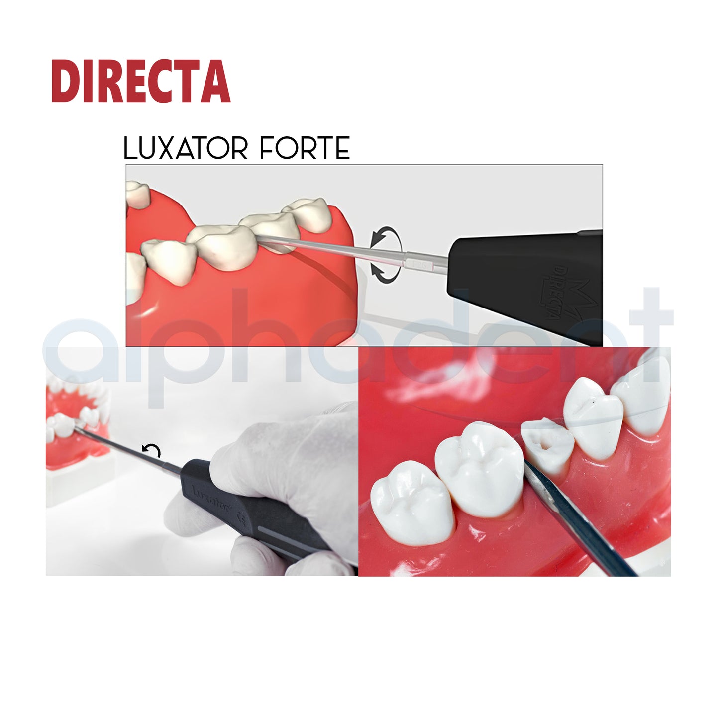 The Original Luxator® Periotome KnivesㅤㅤㅤSet of 7
