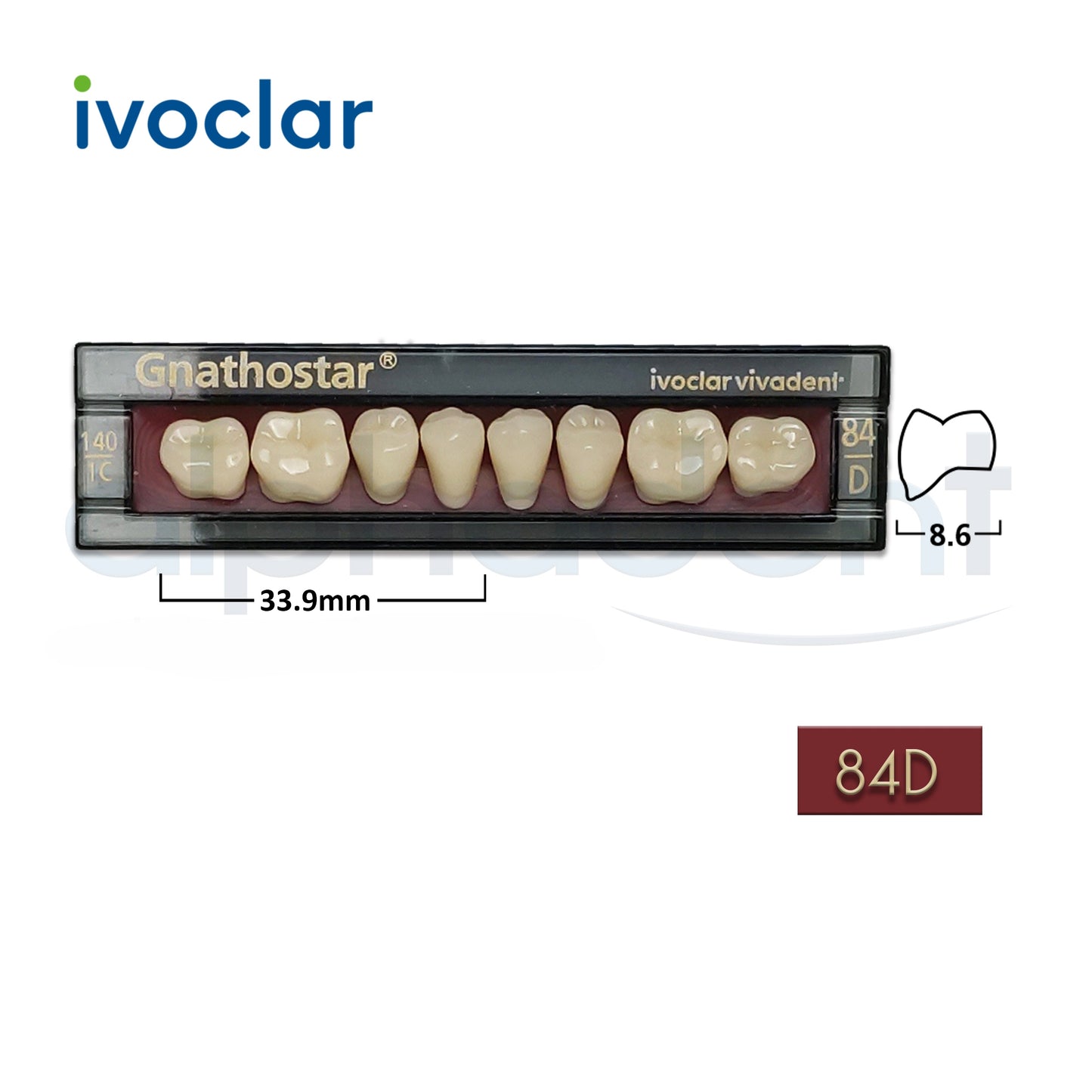 Gnathostar® 1 X 8 Posterior Resin Denture Teeth