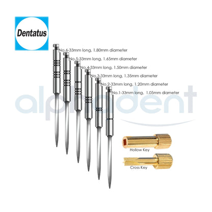 Surtex® Classic Titanium Posts