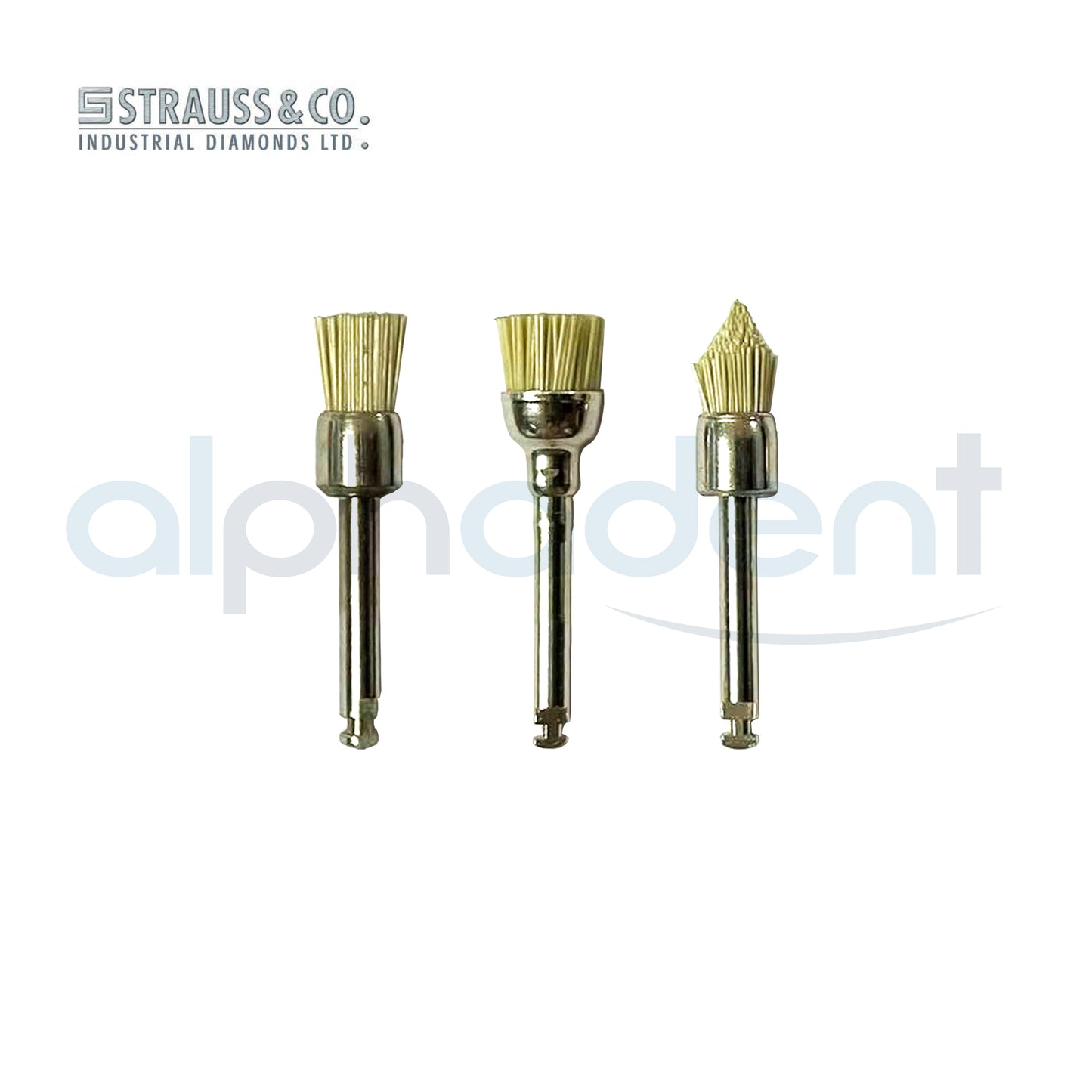ECO Brush Abrasive Brushes