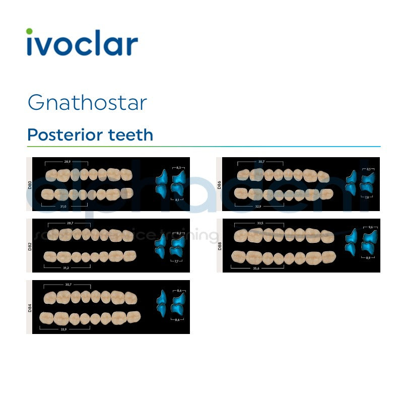 Gnathostar® 1 X 8 Posterior Resin Denture Teeth