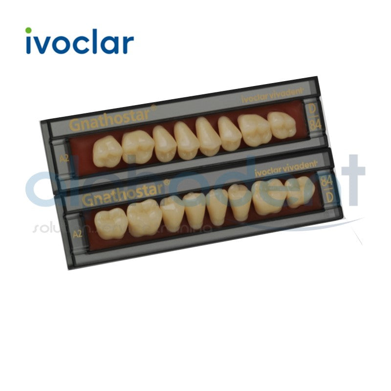 Gnathostar® 1 X 8 Posterior Resin Denture Teeth