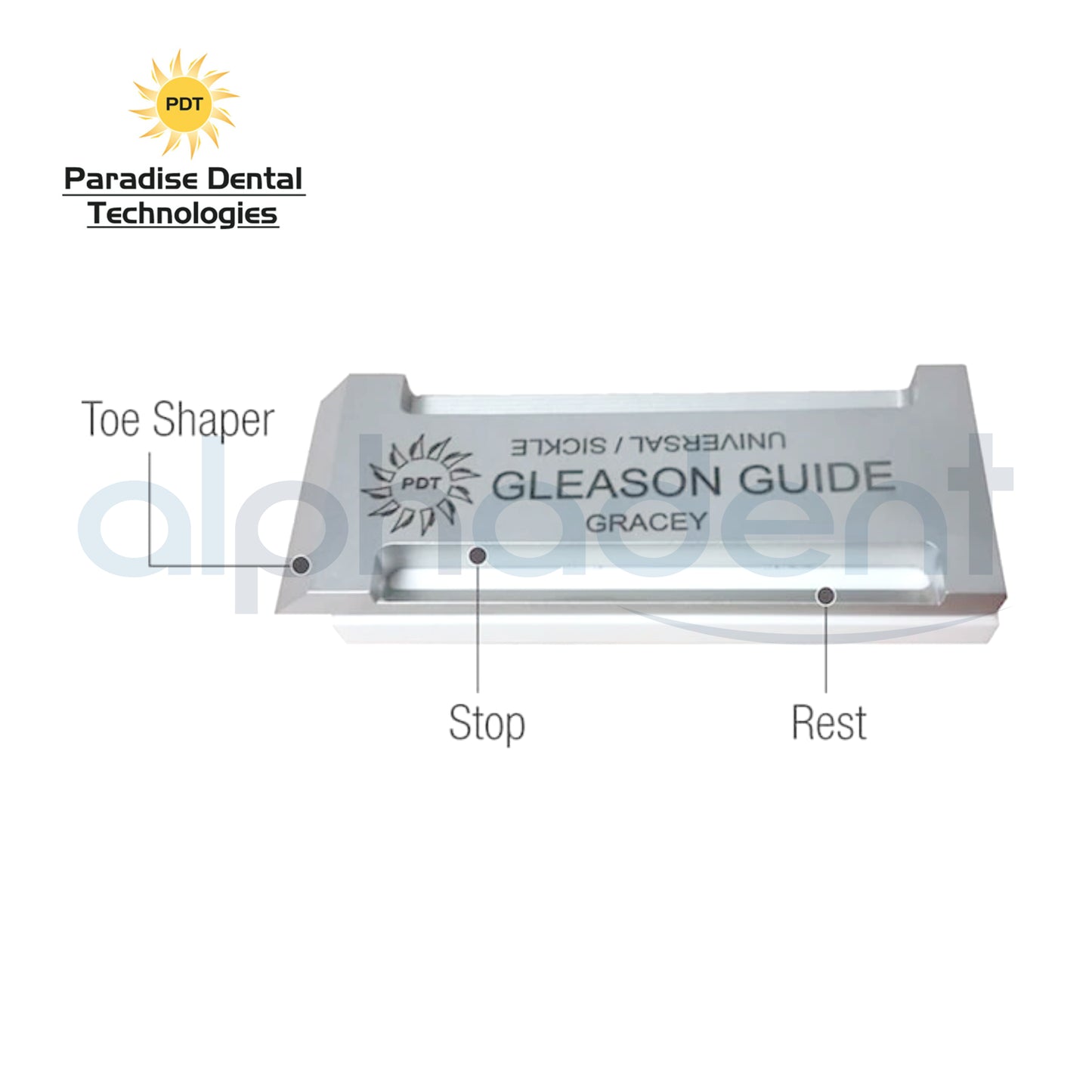 The PDT Gleason Guide™
