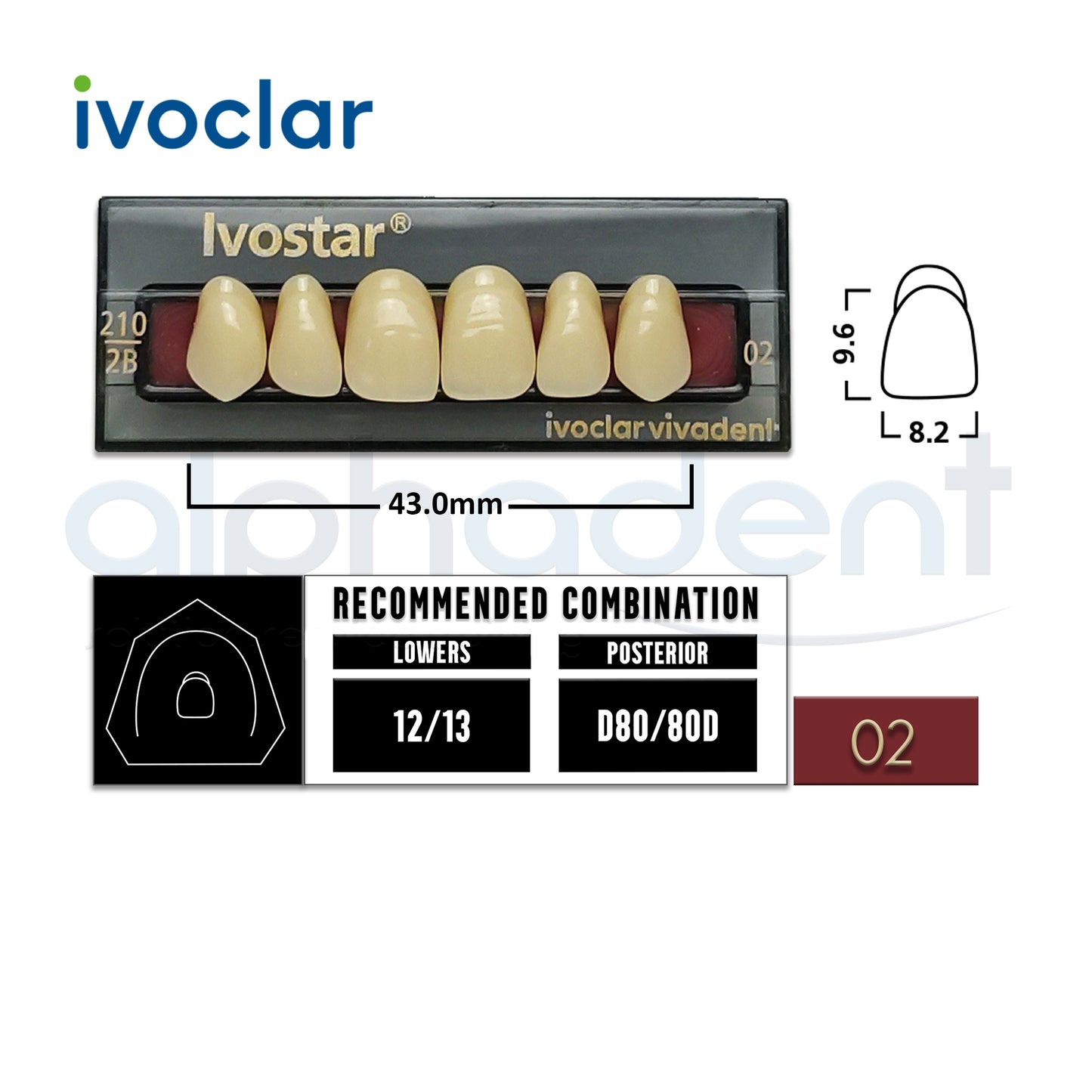 Ivostar® 1 X 6 Anterior Resin Teeth (510, 530)