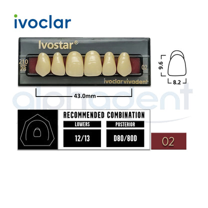 Ivostar® 1 X 6 Anterior Resin Teeth (510, 530)