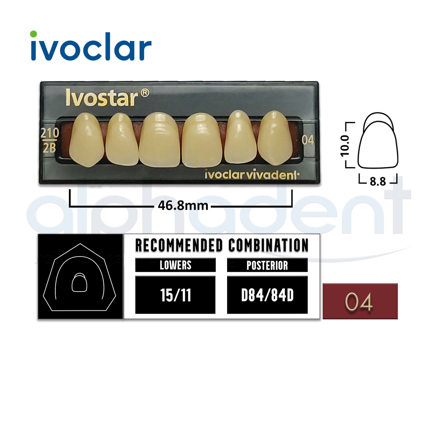 Ivostar® 1 X 6 Anterior Resin Teeth (510, 530)