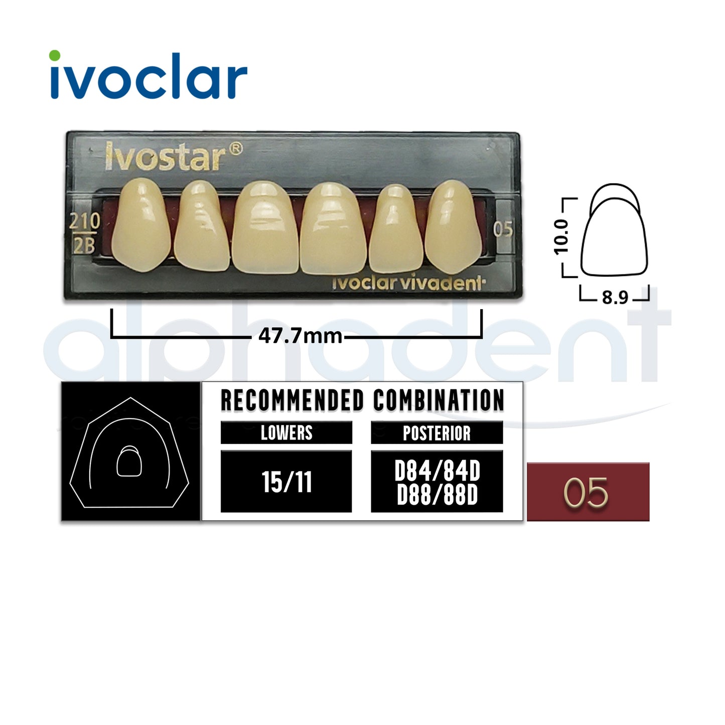 Ivostar® 1 X 6 Anterior Resin Teeth (510, 530)