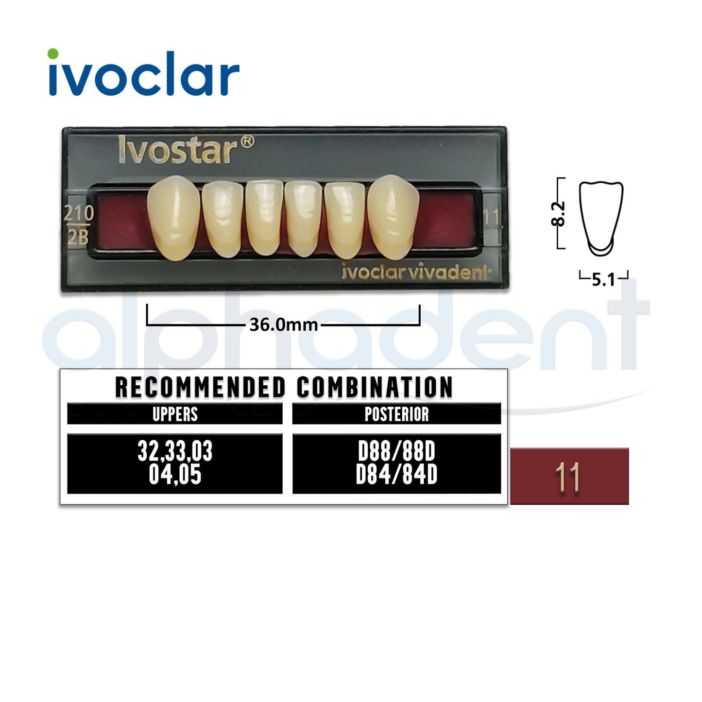 Ivostar® 1 X 6 Anterior Resin Teeth (510, 530)