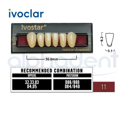 Ivostar® 1 X 6 Anterior Resin Teeth (510, 530)