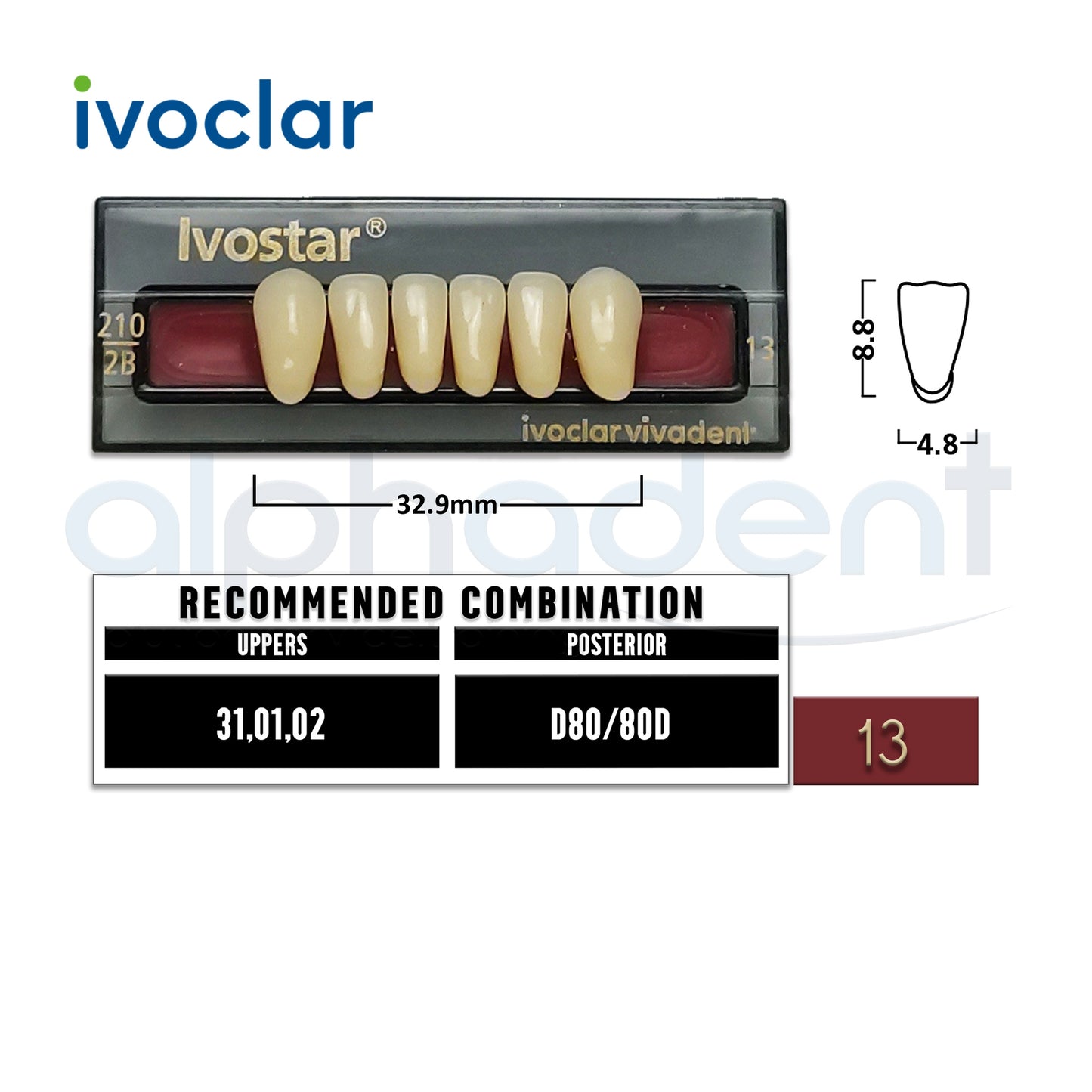 Ivostar® 1 X 6 Anterior Resin Teeth (510, 530)