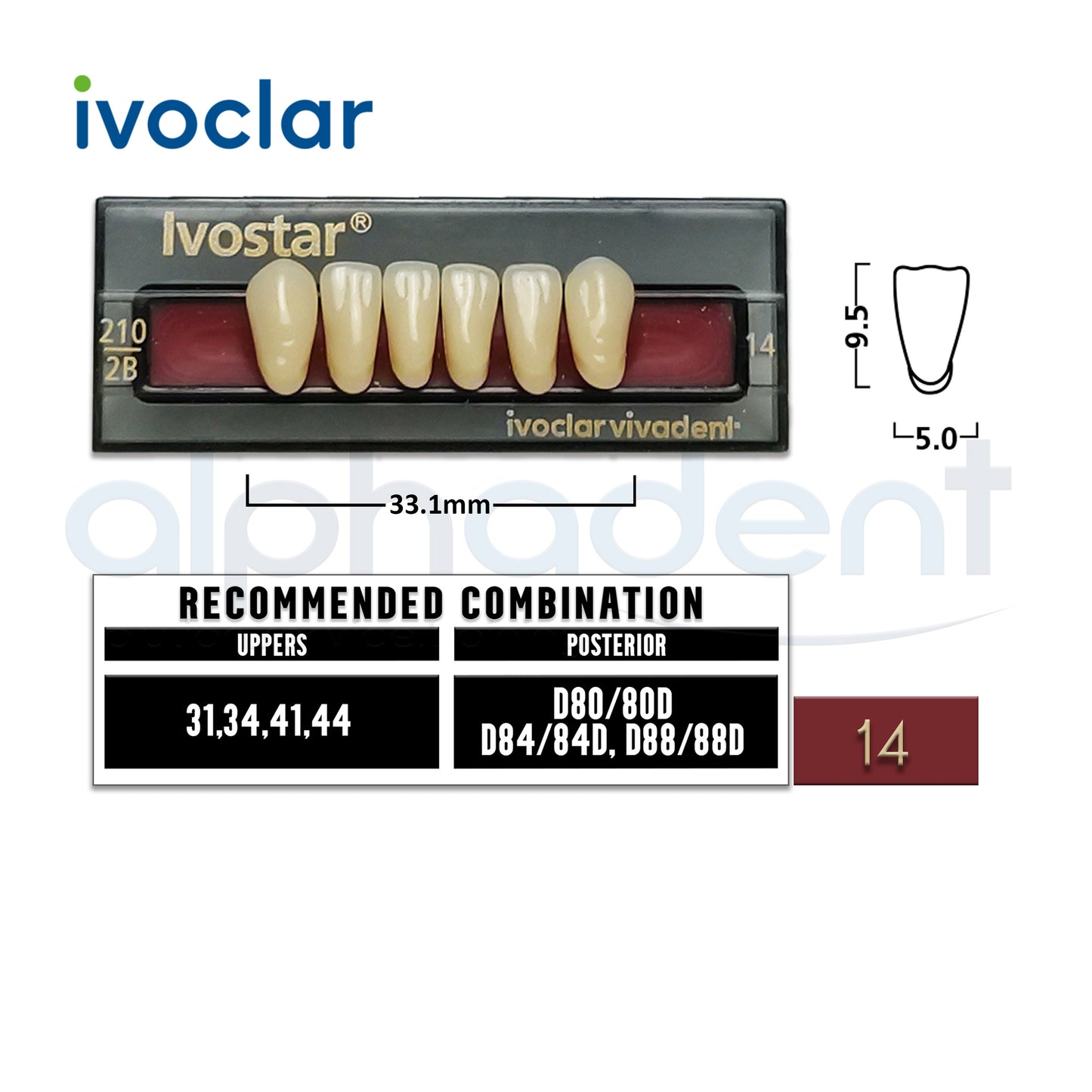 Ivostar® 1 X 6 Anterior Resin Teeth (510, 530)