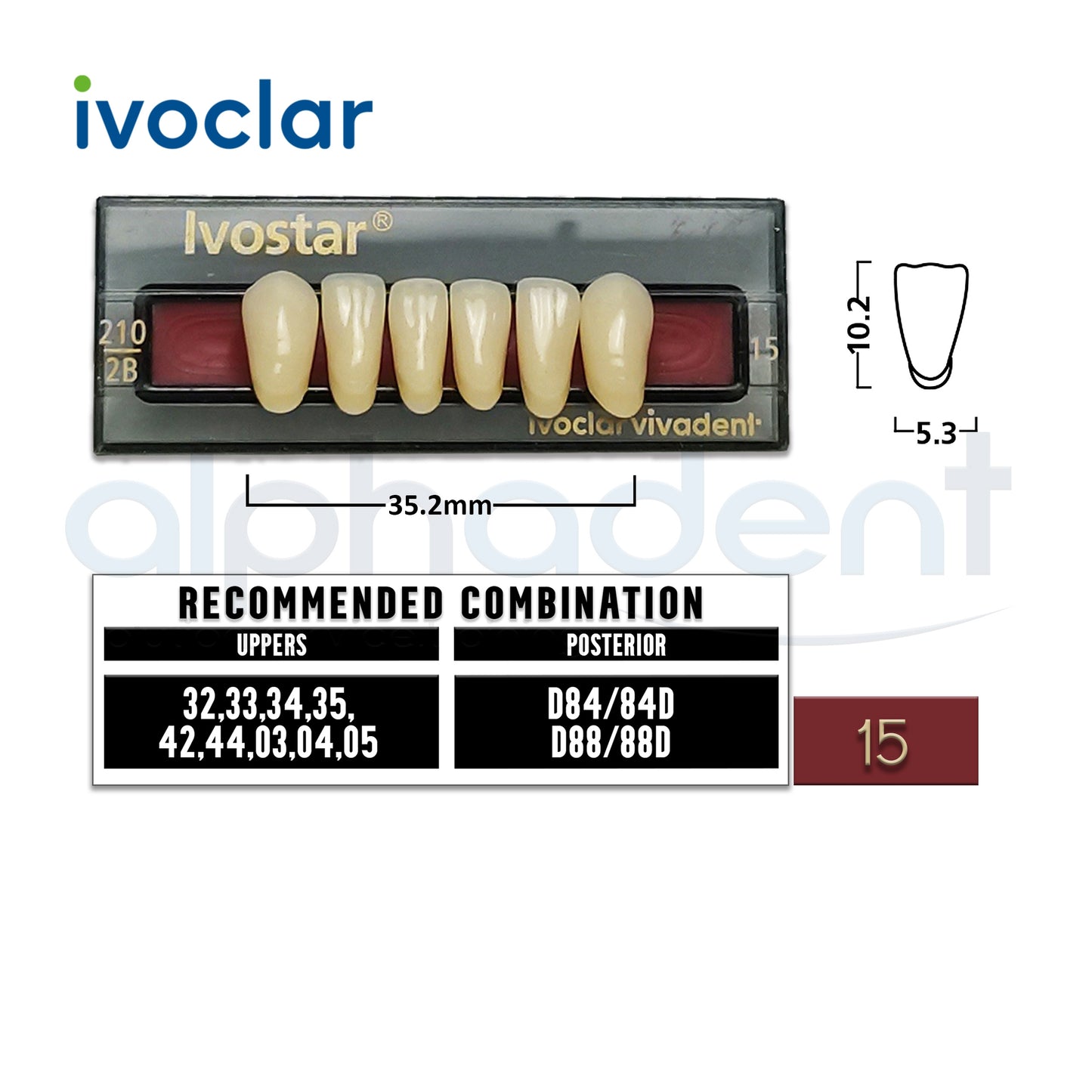 Ivostar® 1 X 6 Anterior Resin Teeth (510, 530)