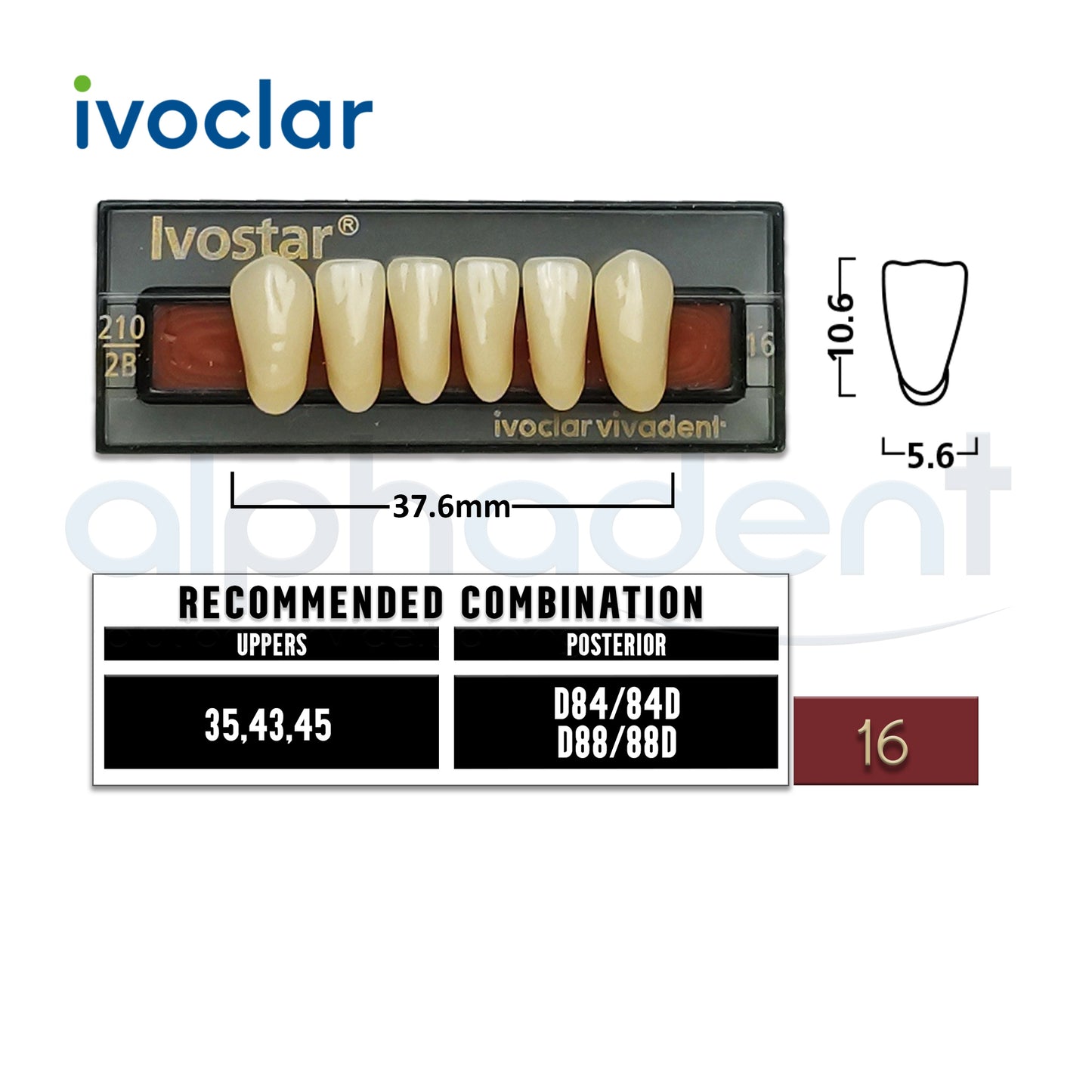 Ivostar® 1 X 6 Anterior Resin Teeth (510, 530)
