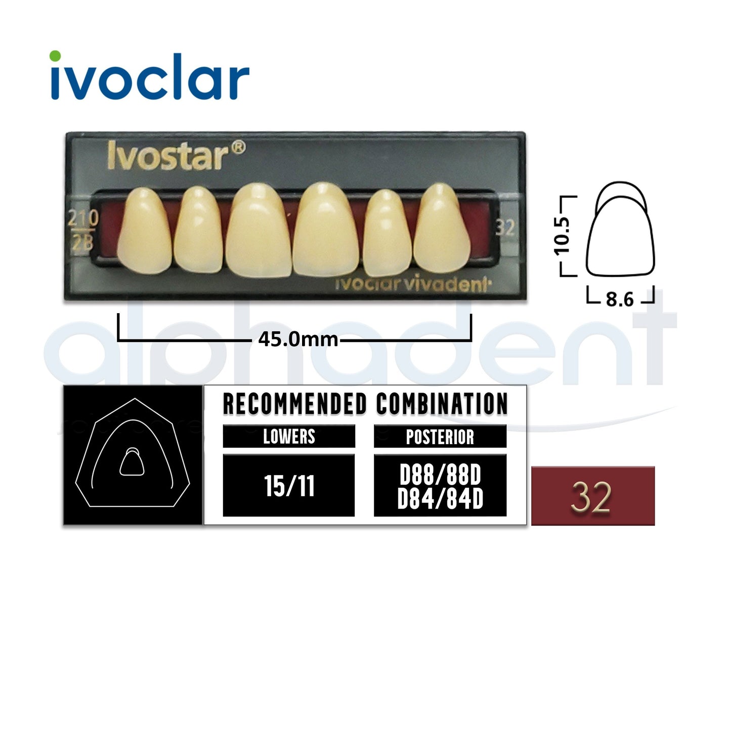 Ivostar® 1 X 6 Anterior Resin Teeth (510, 530)