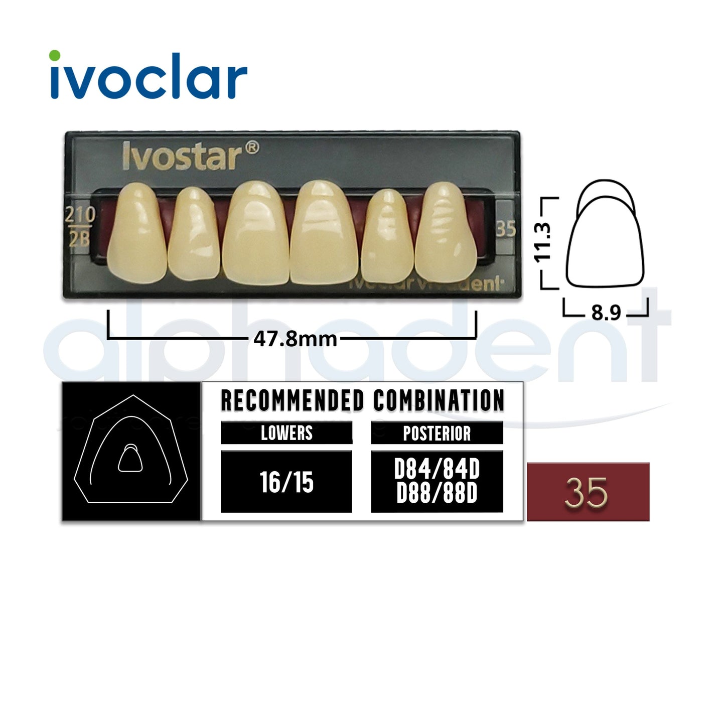 Ivostar® 1 X 6 Anterior Resin Teeth (510, 530)