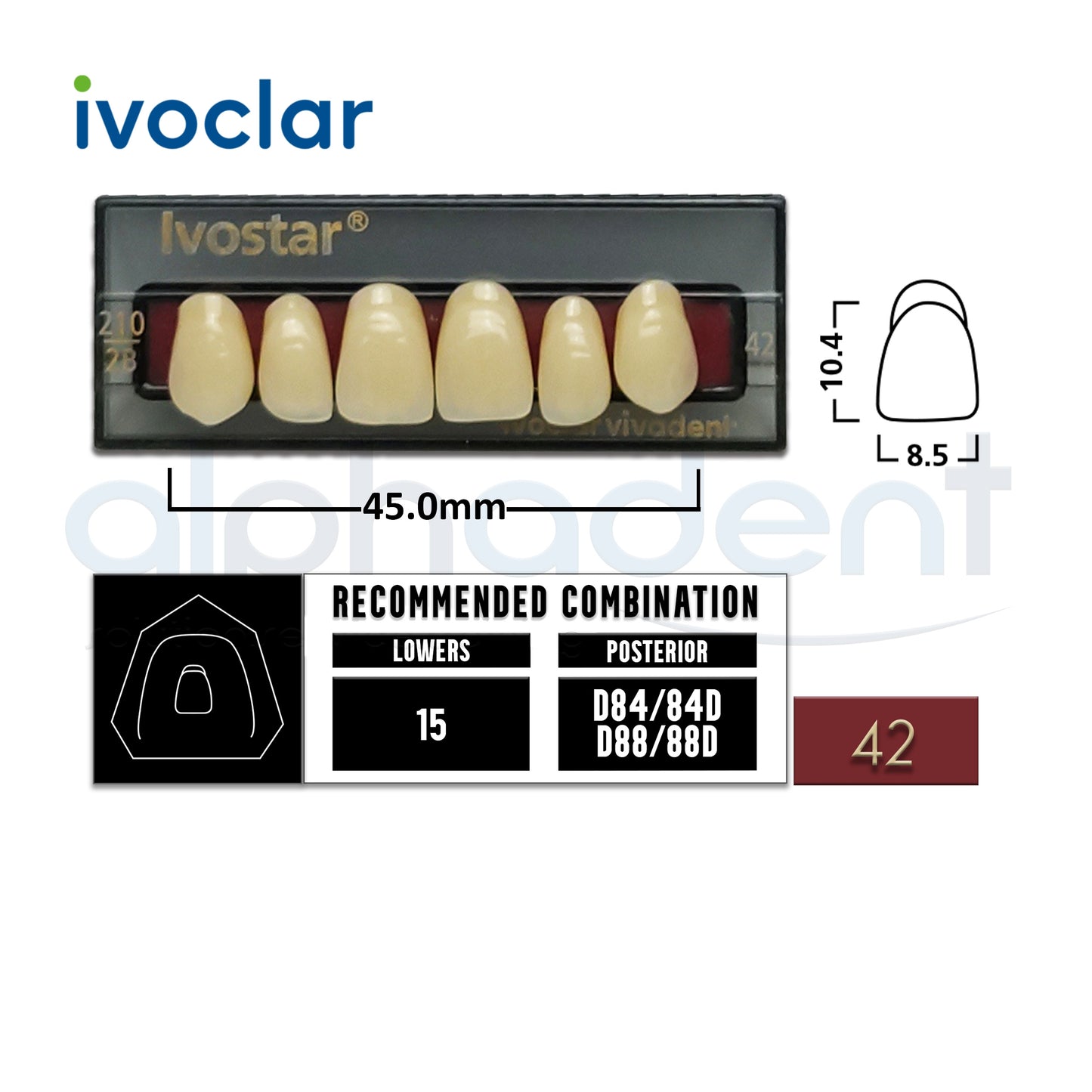 Ivostar® 1 X 6 Anterior Resin Teeth (510, 530)