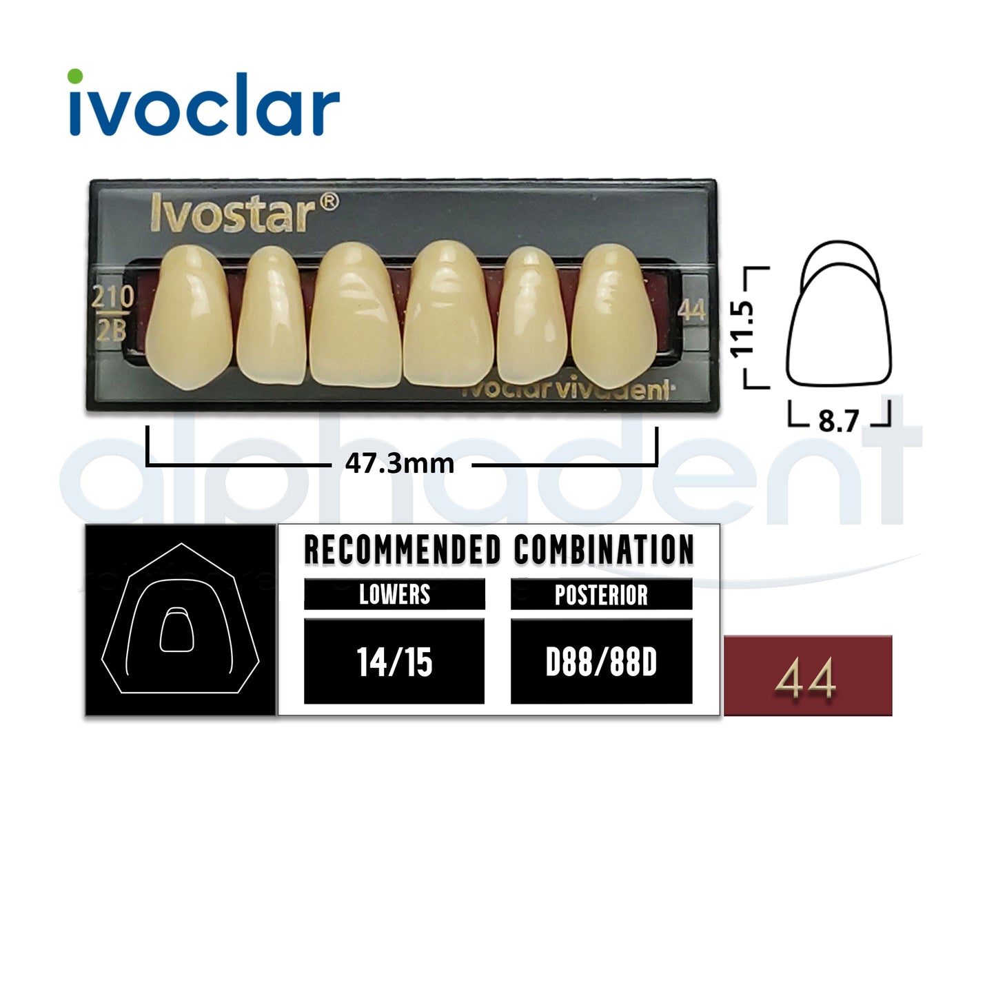 Ivostar® 1 X 6 Anterior Resin Teeth (510, 530)