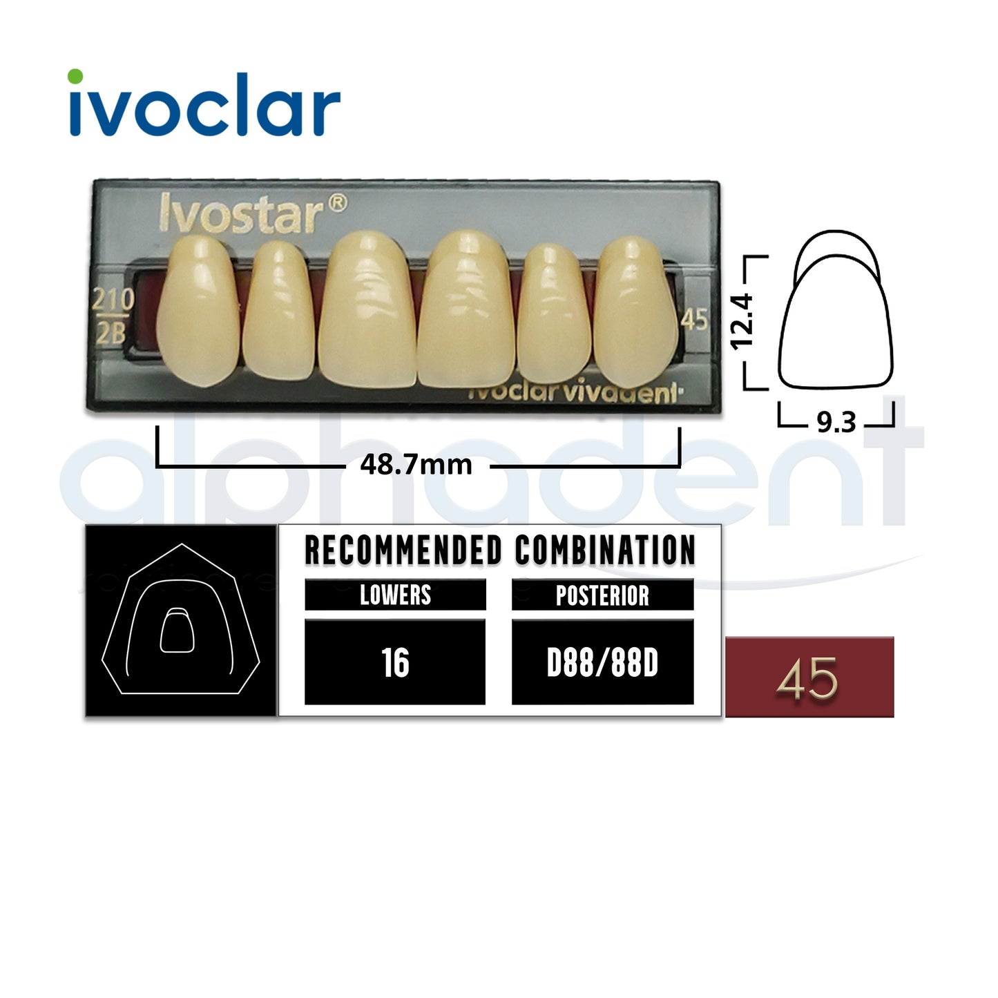 Ivostar® 1 X 6 Anterior Resin Teeth (510, 530)