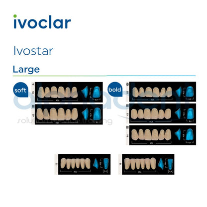 Ivostar® 1 X 6 Anterior Resin Teeth (510, 530)