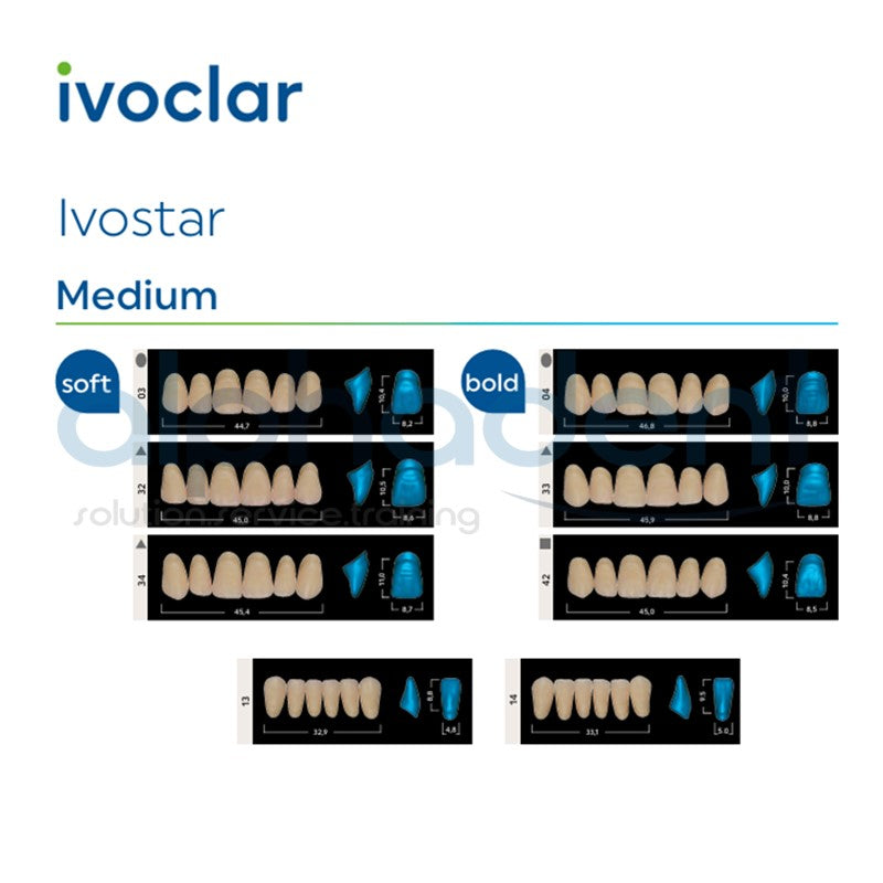 Ivostar® 1 X 6 Anterior Resin Teeth (510, 530)