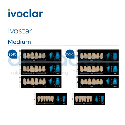 Ivostar® 1 X 6 Anterior Resin Teeth (510, 530)