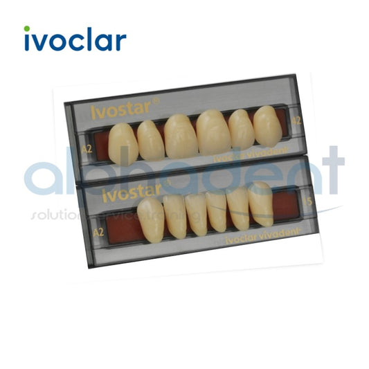 Ivostar® 1 X 6 Anterior Resin Teeth (110-140)