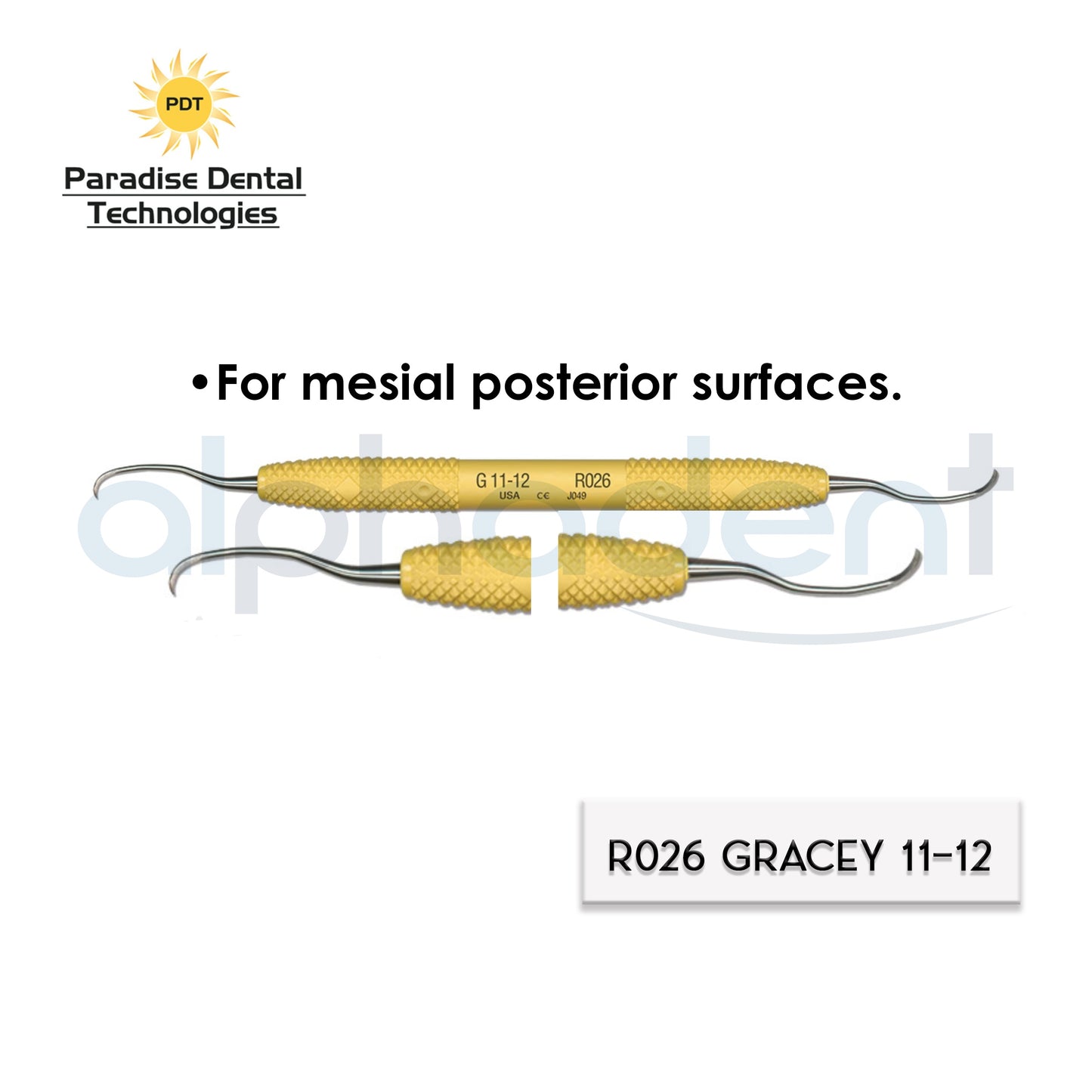 Dental Scalers and Curettes