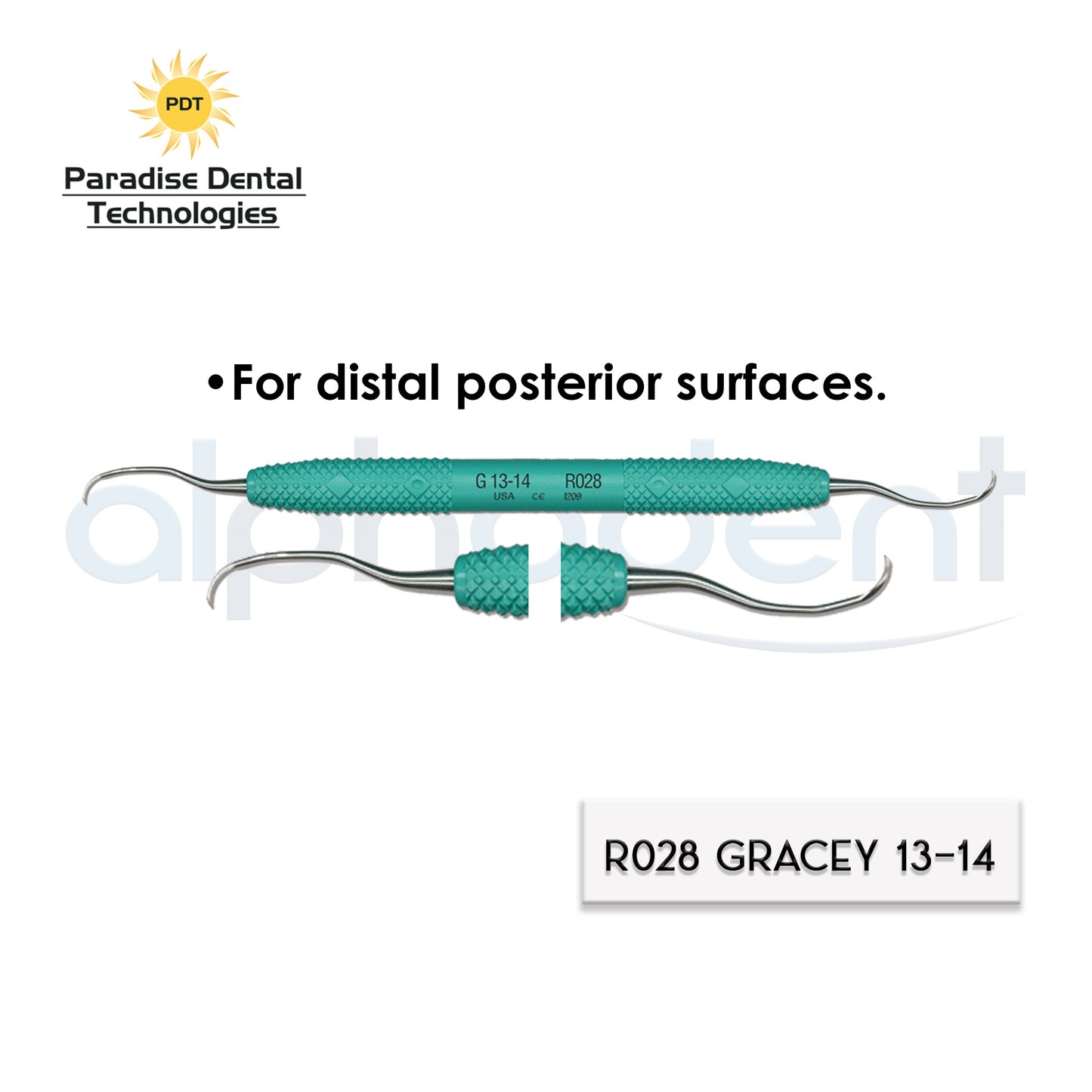 Dental Scalers and Curettes