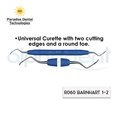 Dental Scalers and Curettes