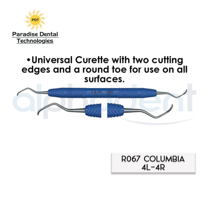 Dental Scalers and Curettes